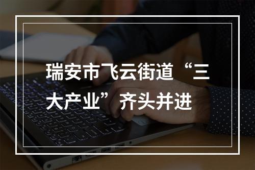 瑞安市飞云街道“三大产业”齐头并进
