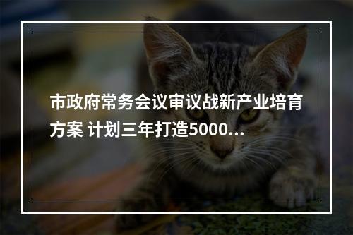 市政府常务会议审议战新产业培育方案 计划三年打造5000亿产值战新产业