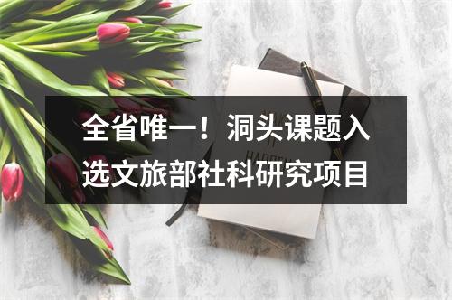 全省唯一！洞头课题入选文旅部社科研究项目