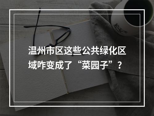 温州市区这些公共绿化区域咋变成了“菜园子”？