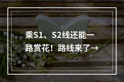 乘S1、S2线还能一路赏花！路线来了→
