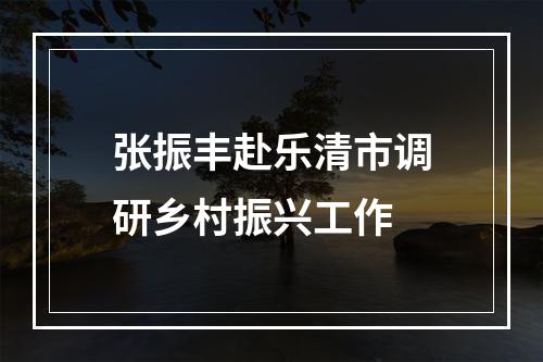 张振丰赴乐清市调研乡村振兴工作