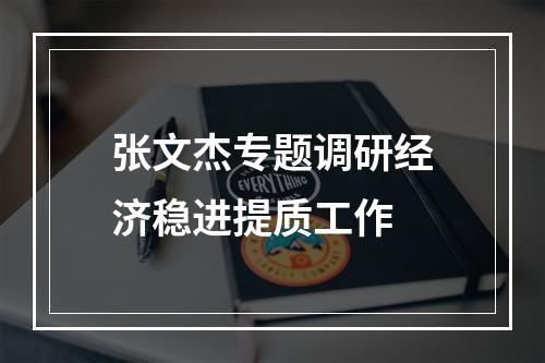 张文杰专题调研经济稳进提质工作