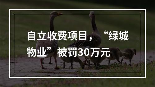 自立收费项目，“绿城物业”被罚30万元