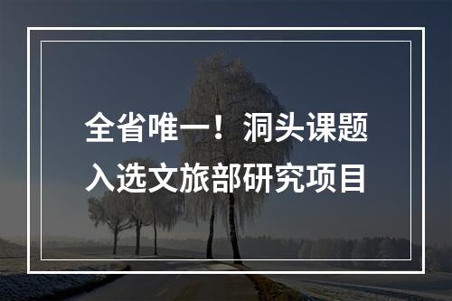 全省唯一！洞头课题入选文旅部研究项目