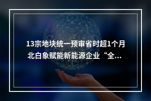 13宗地块统一预审省时超1个月 北白象赋能新能源企业“全速跑”