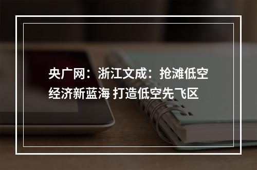 央广网：浙江文成：抢滩低空经济新蓝海 打造低空先飞区
