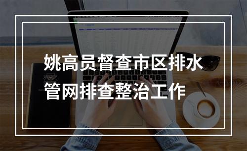 姚高员督查市区排水管网排查整治工作