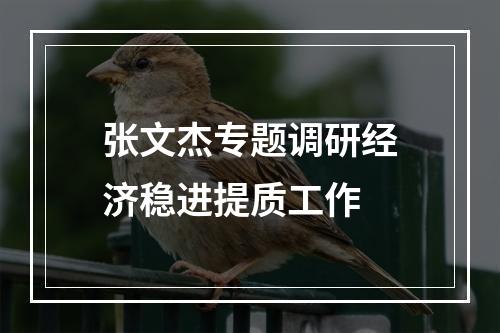 张文杰专题调研经济稳进提质工作