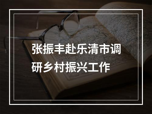 张振丰赴乐清市调研乡村振兴工作
