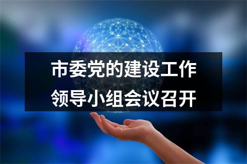 市委党的建设工作领导小组会议召开