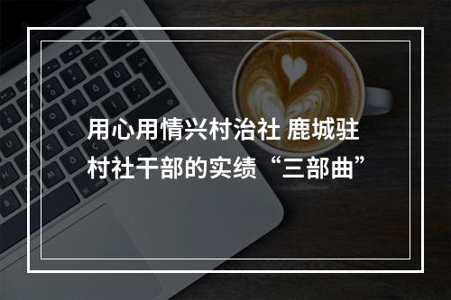 用心用情兴村治社 鹿城驻村社干部的实绩“三部曲”