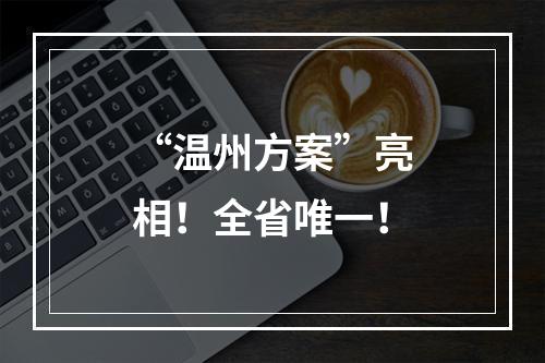 “温州方案”亮相！全省唯一！