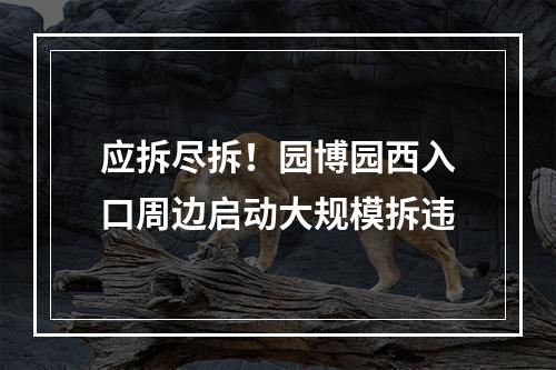 应拆尽拆！园博园西入口周边启动大规模拆违