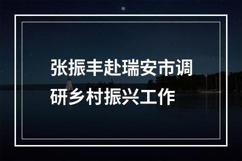 张振丰赴瑞安市调研乡村振兴工作