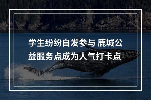 学生纷纷自发参与 鹿城公益服务点成为人气打卡点