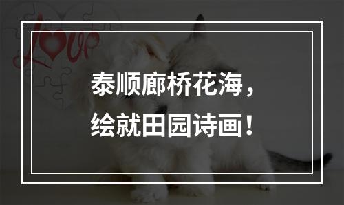 泰顺廊桥花海，绘就田园诗画！