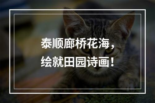 泰顺廊桥花海，绘就田园诗画！