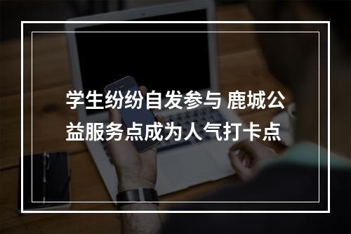 学生纷纷自发参与 鹿城公益服务点成为人气打卡点