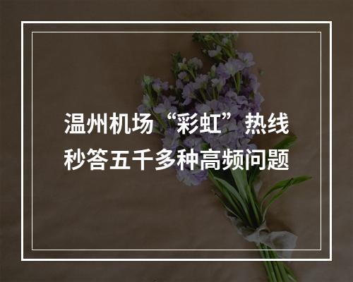 温州机场“彩虹”热线秒答五千多种高频问题