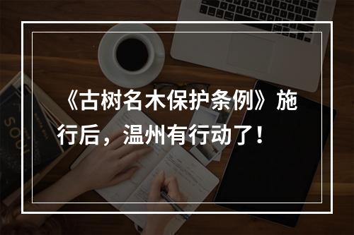 《古树名木保护条例》施行后，温州有行动了！