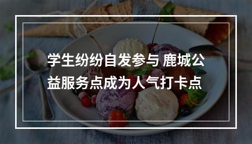 学生纷纷自发参与 鹿城公益服务点成为人气打卡点