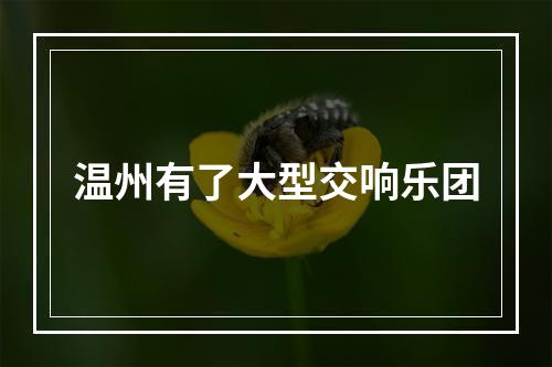 温州有了大型交响乐团