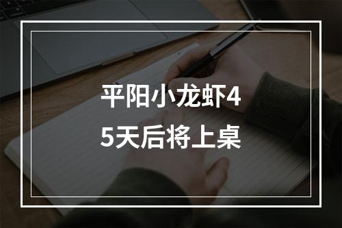 平阳小龙虾45天后将上桌