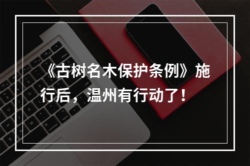 《古树名木保护条例》施行后，温州有行动了！