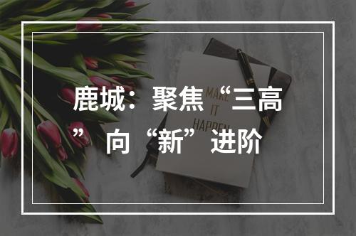 鹿城：聚焦“三高” 向“新”进阶