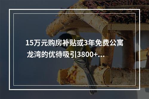 15万元购房补贴或3年免费公寓 龙湾的优待吸引3800+武汉学子