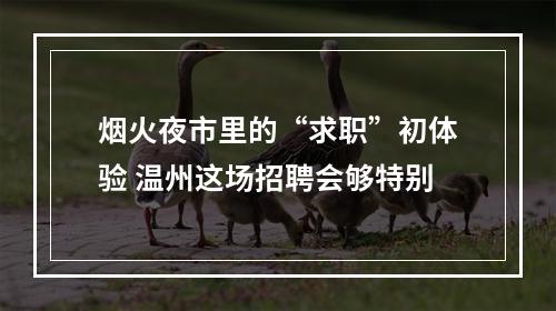 烟火夜市里的“求职”初体验 温州这场招聘会够特别