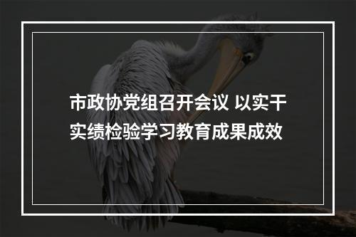 市政协党组召开会议 以实干实绩检验学习教育成果成效