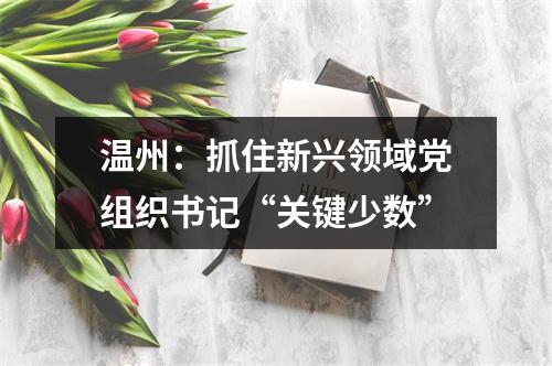 温州：抓住新兴领域党组织书记“关键少数”