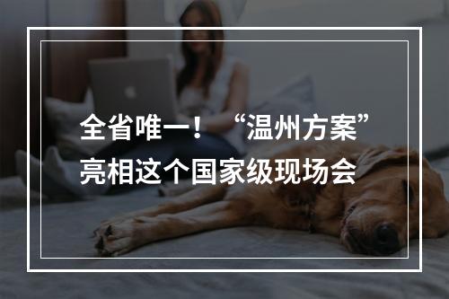 全省唯一！“温州方案”亮相这个国家级现场会