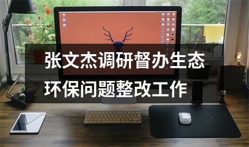 张文杰调研督办生态环保问题整改工作