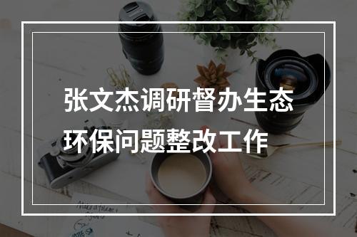 张文杰调研督办生态环保问题整改工作