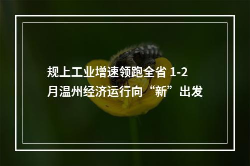 规上工业增速领跑全省 1-2月温州经济运行向“新”出发