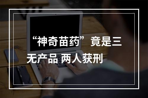 “神奇苗药”竟是三无产品 两人获刑