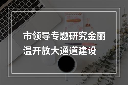 市领导专题研究金丽温开放大通道建设