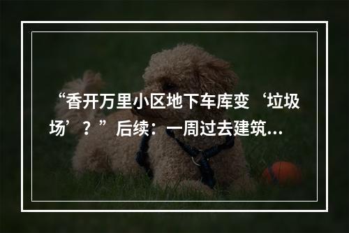 “香开万里小区地下车库变‘垃圾场’？”后续：一周过去建筑垃圾清理进度缓慢