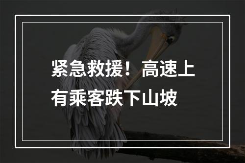紧急救援！高速上有乘客跌下山坡