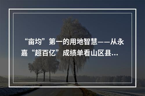 “亩均”第一的用地智慧——从永嘉“超百亿”成绩单看山区县工业突围（一）
