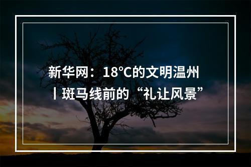 新华网：18℃的文明温州丨斑马线前的“礼让风景”