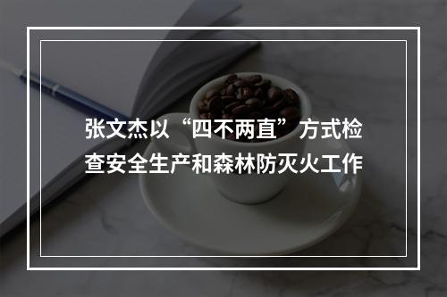 张文杰以“四不两直”方式检查安全生产和森林防灭火工作
