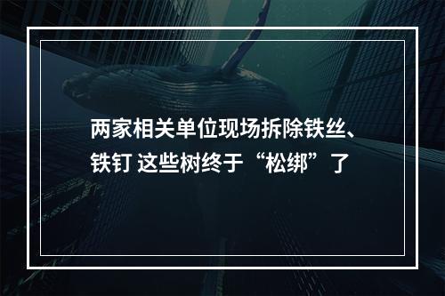 两家相关单位现场拆除铁丝、铁钉 这些树终于“松绑”了