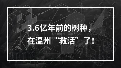3.6亿年前的树种，在温州“救活”了！