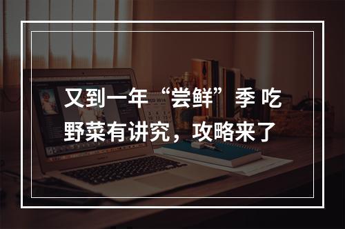 又到一年“尝鲜”季 吃野菜有讲究，攻略来了