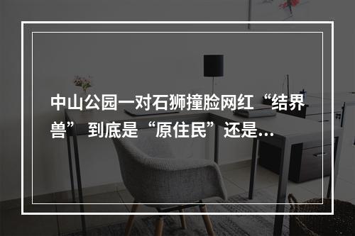 中山公园一对石狮撞脸网红“结界兽” 到底是“原住民”还是“外来客”？