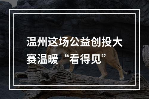 温州这场公益创投大赛温暖“看得见”